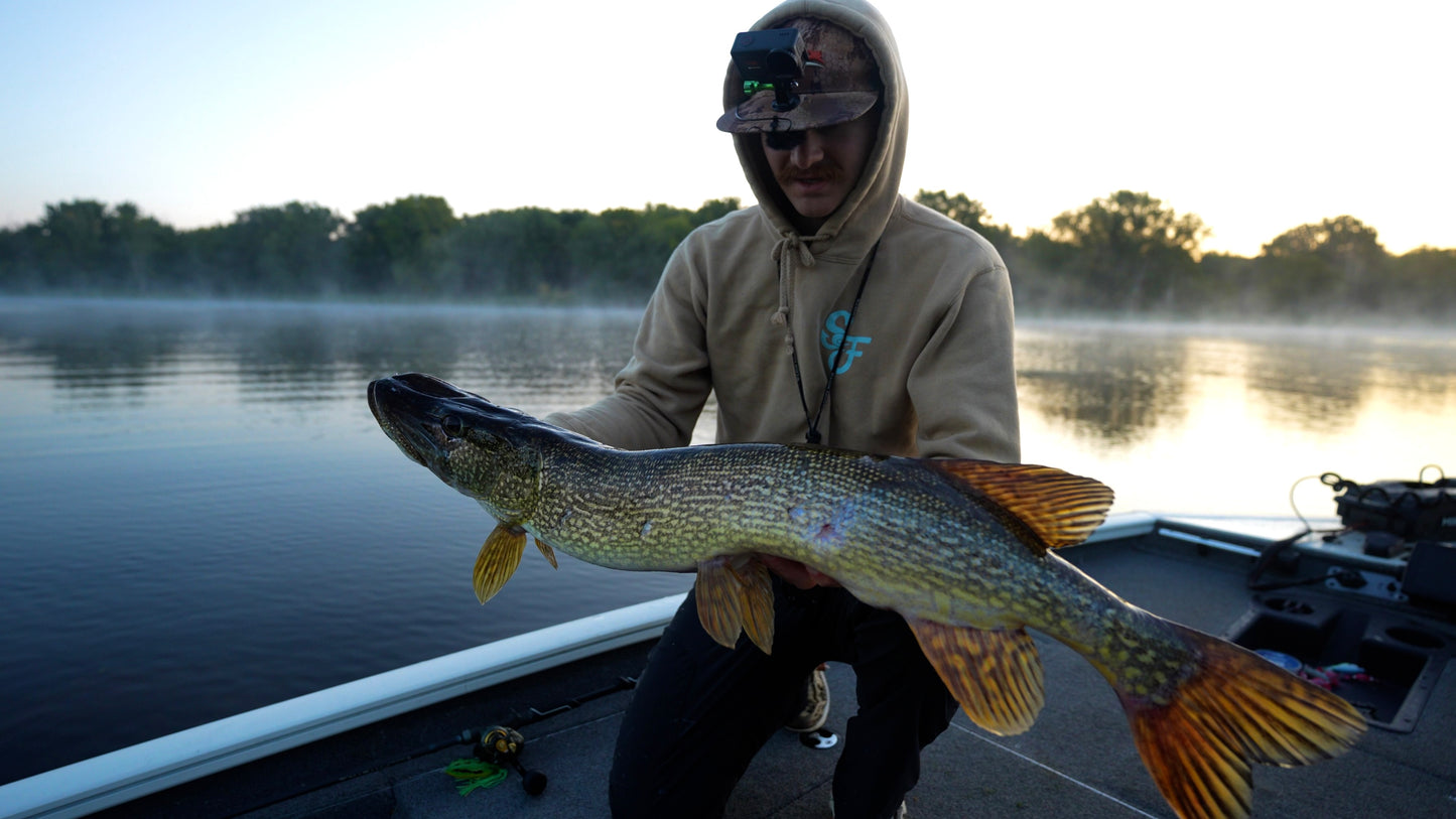 Fish Frenzy Heavyweight Sweatshirt